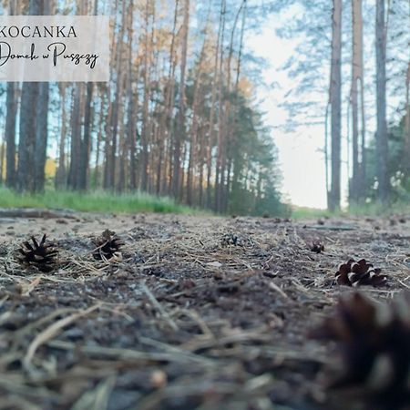 Domek W Puszczy ,,Kocanka" Mezyk ภายนอก รูปภาพ