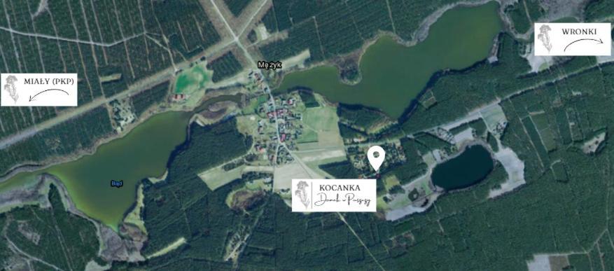Domek W Puszczy ,,Kocanka" Mezyk ภายนอก รูปภาพ