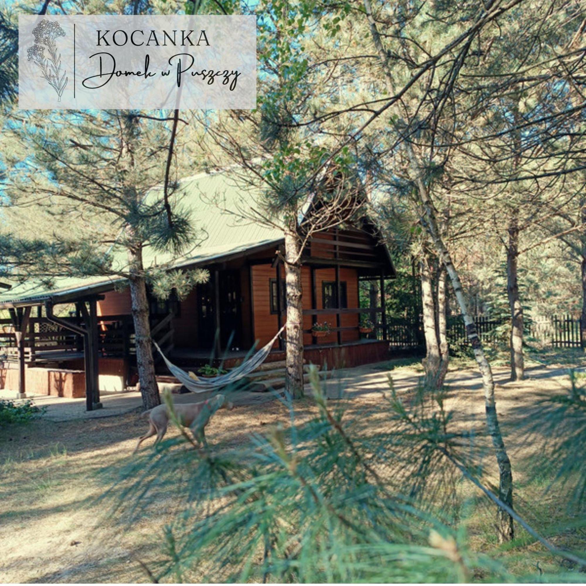 Domek W Puszczy ,,Kocanka" Mezyk ภายนอก รูปภาพ